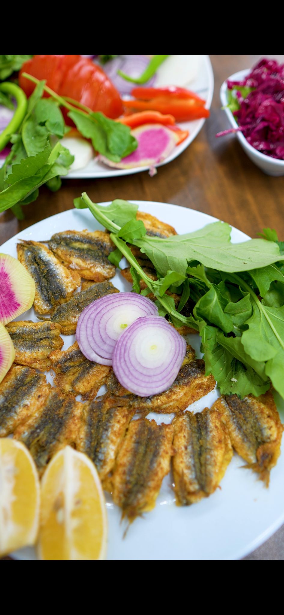 Lider Balıkçılık